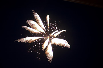 Image showing Firecrackers In The Sky