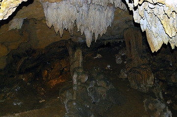 Image showing Soda Straw Stalagtites