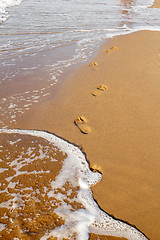 Image showing Footsteps on the beach