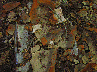 Image showing Rusty Metal Macro