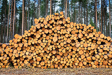 Image showing stacked Logs 