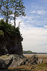 Image showing Headland