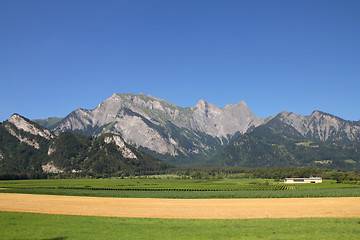 Image showing Switzerland agriculture
