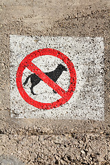 Image showing No dogs sign