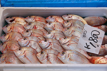 Image showing Fish Market in Tokyo