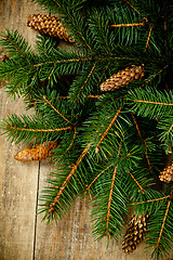 Image showing christmas fir tree with pinecones