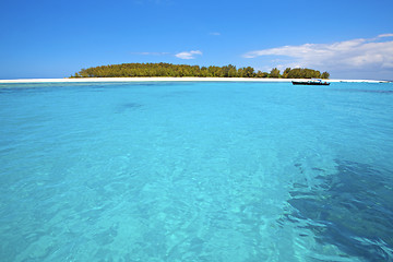 Image showing Zanzibar beach