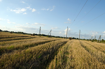 Image showing Straw bales field electric poles autumn sky 