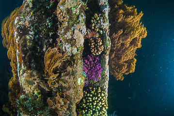 Image showing Underwater shipwreck