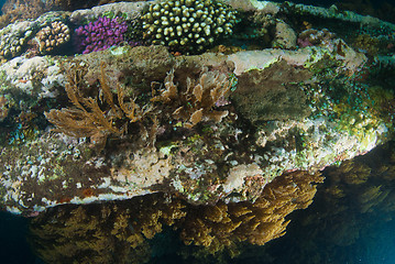 Image showing Underwater shipwreck