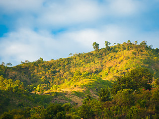 Image showing Bali countryside