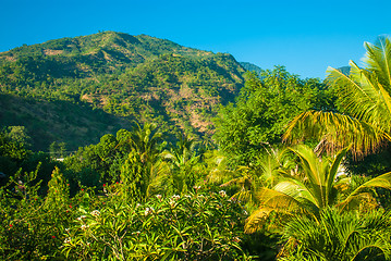 Image showing Bali path and landscape