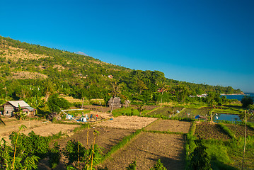 Image showing Fields in the Bali countryside