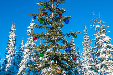 Image showing Decorated seasonal tree in a winter forest