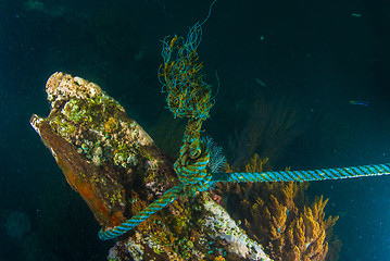 Image showing Underwater shipwreck