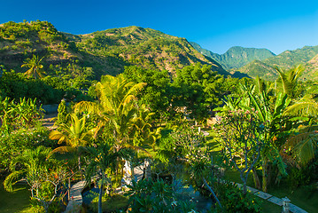 Image showing Bali path and landscape