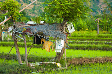 Image showing Hut with laundry in Bali