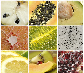 Image showing Fruit Collection