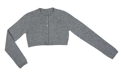 Image showing Grey knitted boleros