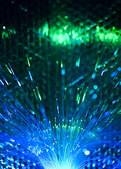 Image showing Optical fibers 