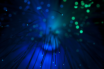 Image showing Optical fibers 