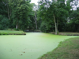 Image showing green water, by kasteel de Haar