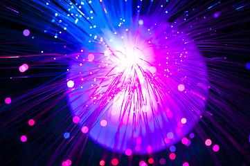 Image showing Optical fibers 