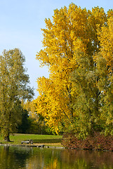 Image showing Autumn