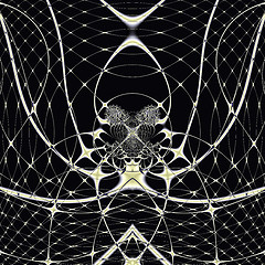 Image showing Golden Spiderweb