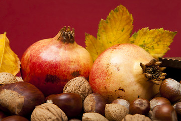 Image showing Autumn fruits