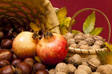 Image showing Autumn fruits