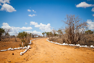 Image showing Savana road