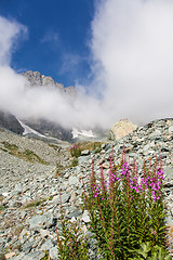 Image showing Monviso path