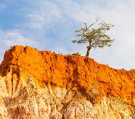 Image showing Marafa Canyon - Kenya