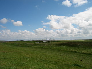 Image showing landscape at Schiermonnikoog