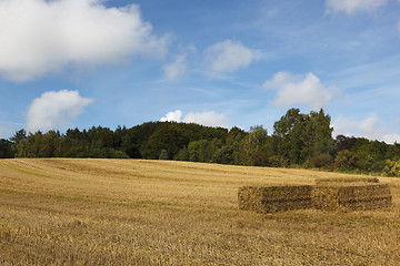 Image showing Straw bales on field