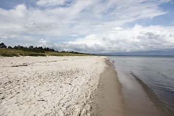 Image showing Coastline