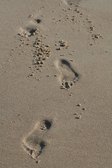 Image showing Footprints