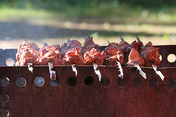 Image showing Grilling