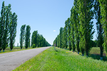 Image showing rural road with trees near it board