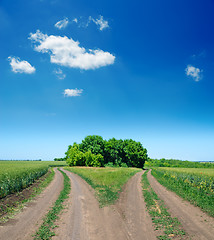 Image showing two rural road in green field