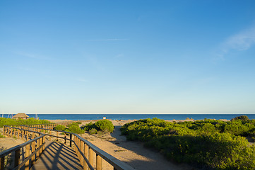 Image showing Scenic beach