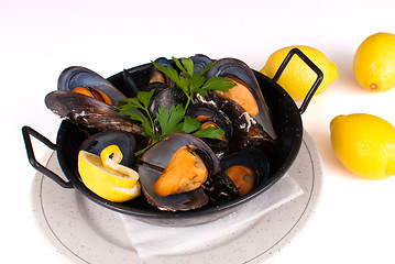 Image showing Steamed mussels