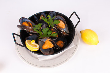 Image showing Steamed mussels