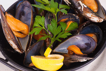 Image showing Fresh mussels