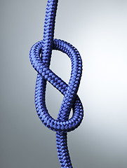 Image showing Figure of eight knot