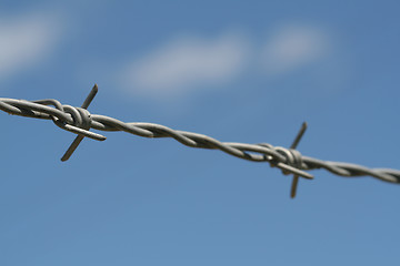 Image showing Barbed wire