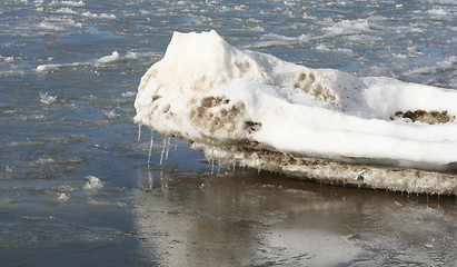 Image showing Winter