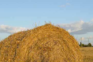 Image showing Closeup of straw bales on sky background 