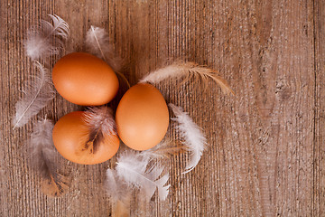 Image showing three eggs and feathers 